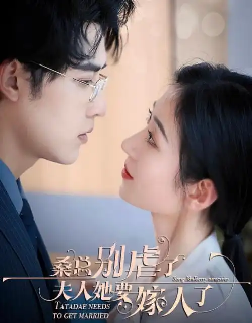 第二十条-云影院在线观看